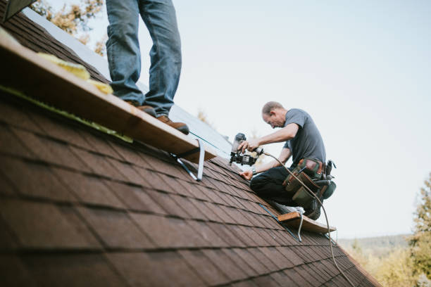 Best Storm Damage Roof Repair  in Brightwood, VA